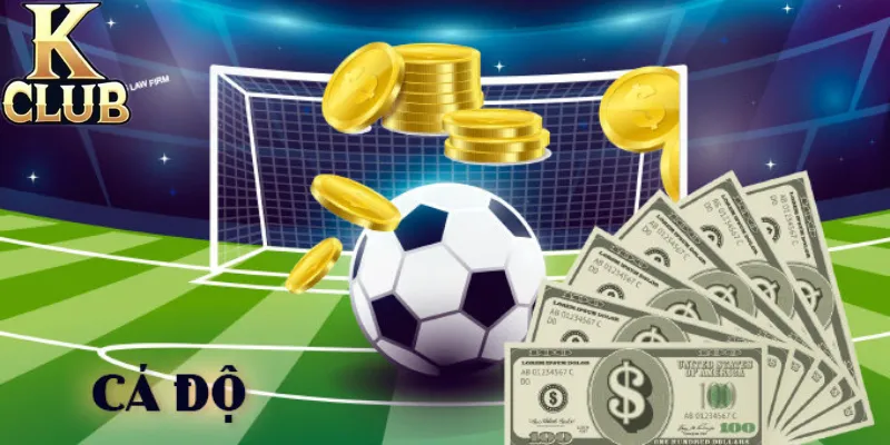 Để sống bằng nghề cá độ cần có chiến lược rõ ràng